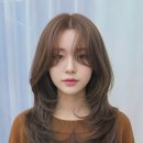 트리미용실 이미지