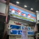 왕새우와회사랑