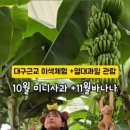 염소꿈농원 이미지