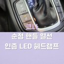 코나붕어빵