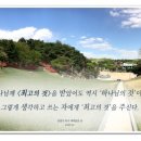 전라도각시