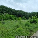 백옥동농장 네이버블로그