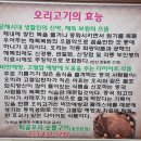 퇴골오리숯불구이홍천본점 네이버블로그