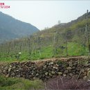 등고개주유소 이미지