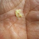 815세차장 이미지