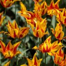 밀양 선인태권도 이미지