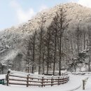 양평 산림교육센터 이미지