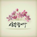 #세기의 사랑 이미지