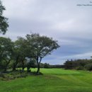 수림목장 이미지