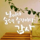 미동 이미지