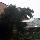 재동이보리밥 이미지