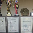 메이저 애견훈련학교 이미지