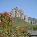 청송 Daum카페