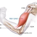 영짐(YOUNG GYM) 이미지