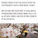 3월 22일 목 서울 출석부 ~ 비♡♡~~ 이미지