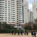 명촌초등학교 이미지