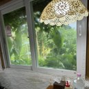 의귀리 | 제주도민 맛집 3시간만 운영하는 내돈내산 의귀리부부막국수