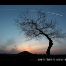 [제주여행]김영갑겔러리 에서 보던 둔지알오름 과 날고싶은 홍예나무 이미지