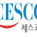 용인대 경찰 태권도장 이미지