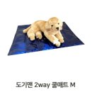 개 쿨 이미지