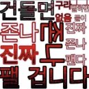 당근경매장