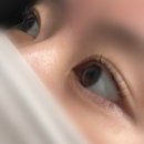 길음역 3번출구 | [성북] 미아속눈썹펌 추천 화장시간 절약하는 방법 블랙틴팅펌 길음역 모노브로우