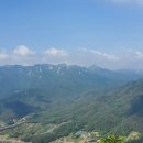 저수지길 이미지