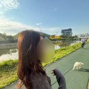 어 그래 나다