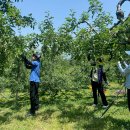 대구광역시농업기술센터 이미지