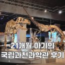 7484 | 21개월 아기랑 국립과천과학관 솔직 후기 &amp; 꿀팁│경기도 실내, 실외 나들이 갈만한 곳