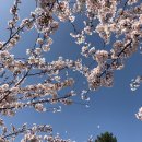 포토존A 이미지