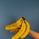 바나나 이미지