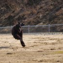 목화농원 이미지