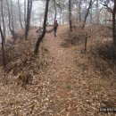 이산치안센터 이미지