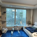 행정동로 | 반려동물 키우는 집 출산준비 시작은 에어컨 청소부터 - 동탄 영스클린케어 후기