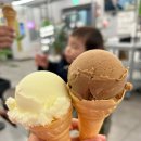 사파동289 | 창원 사파동 부대찌개 88냉삼겹 내돈내산 알쏭달쏭