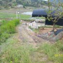 청솔농원 이미지