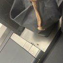 094 | 대한항공 일등석 워싱턴-인천 KE094 위스키 후기(일등석 처음 타본 사람)