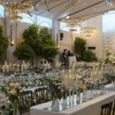 로얄파크 이미지