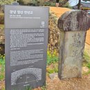 (사)푸른차문화연구원 | 창녕 여행, 수양벚꽃에 취하다: 만년교와 연지 그리고 남지 개비리길 하루 여행 코스 후기