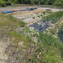 옥천공인중개사사무소 이미지