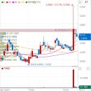 용평리조트 스키장 이미지