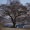 지내마을회관 이미지