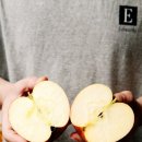 대구경북능금농협봉화경제사업장