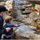 여우치킨 이미지