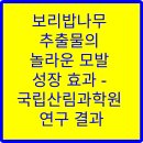 국립산림과학원
산림바이오소재연구소 | 보리밥나무 추출물의 놀라운 모발 성장 효과 - 국립산림과학원 연구 결과