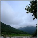 무릉도원 이미지