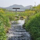 명곡천 이미지