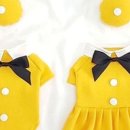 도그홀릭 이미지