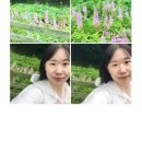 영현목장 이미지